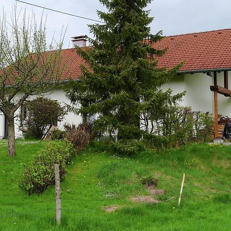 Cosy Apartment In Allg U With Garden Oy-Mittelberg Buitenkant foto